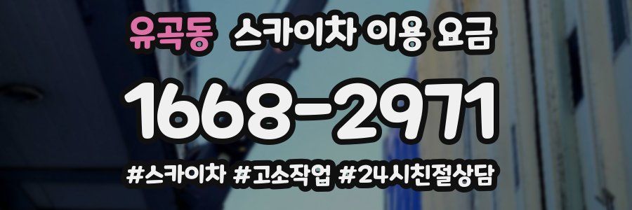 유곡동 스카이차 이용 요금
