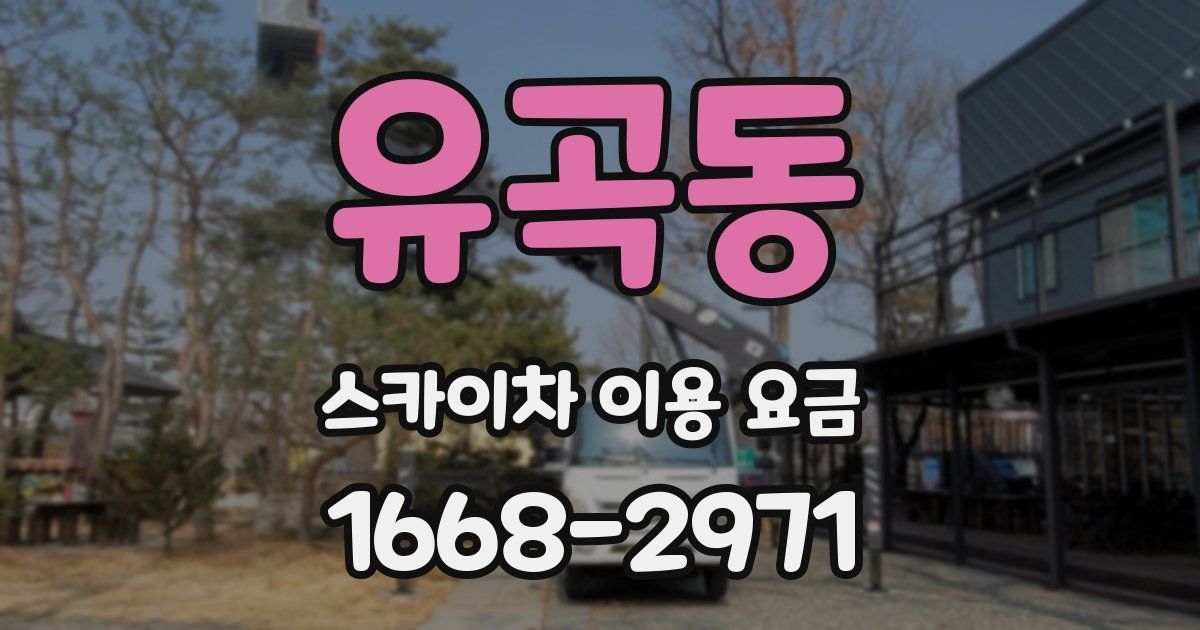유곡동 스카이차 이용 요금
