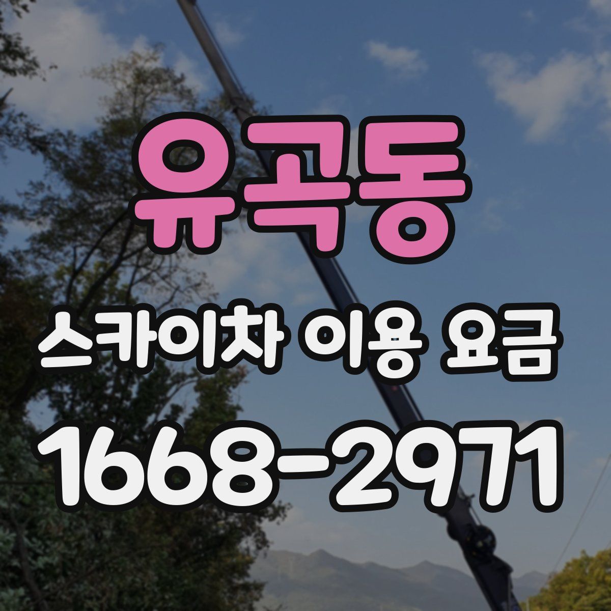 유곡동 스카이차 이용 요금