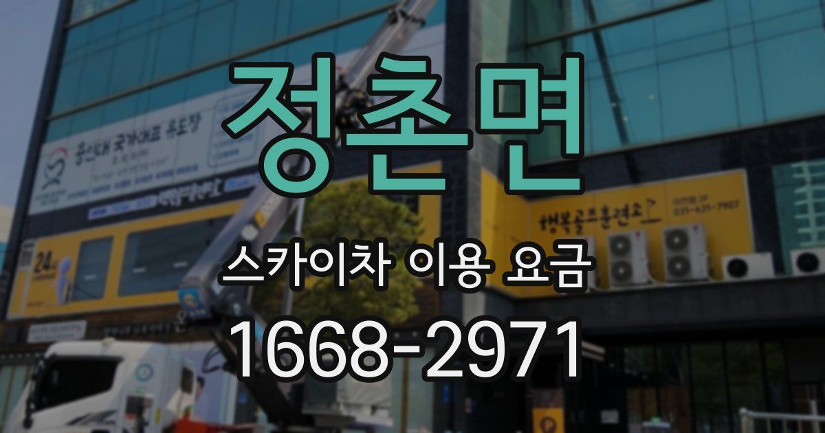 정촌면 스카이차 이용 요금
