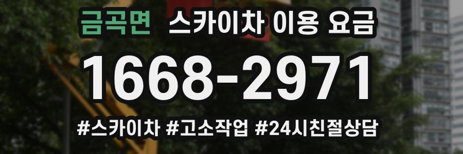 금곡면 스카이차 이용 요금