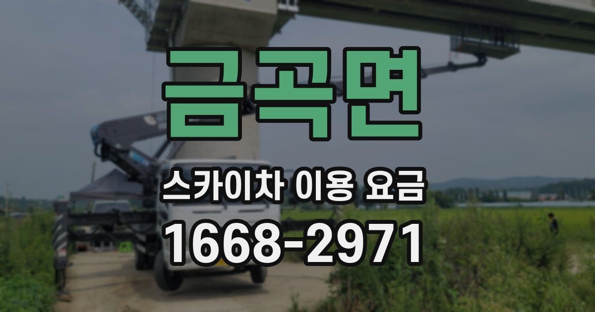 금곡면 스카이차 이용 요금