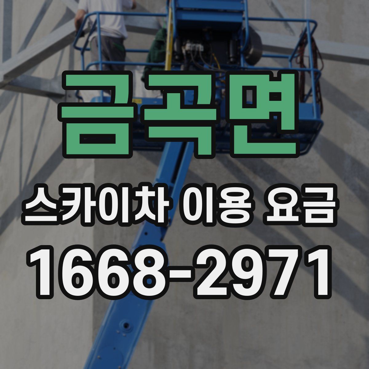 금곡면 스카이차 이용 요금