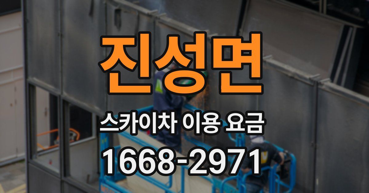 진성면 스카이차 이용 요금