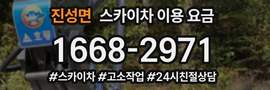 진성면 스카이차 이용 요금
