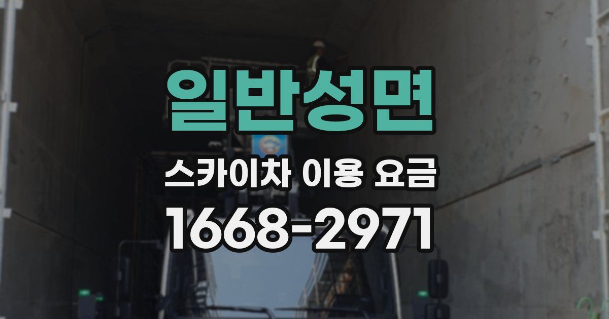 일반성면 스카이차 이용 요금