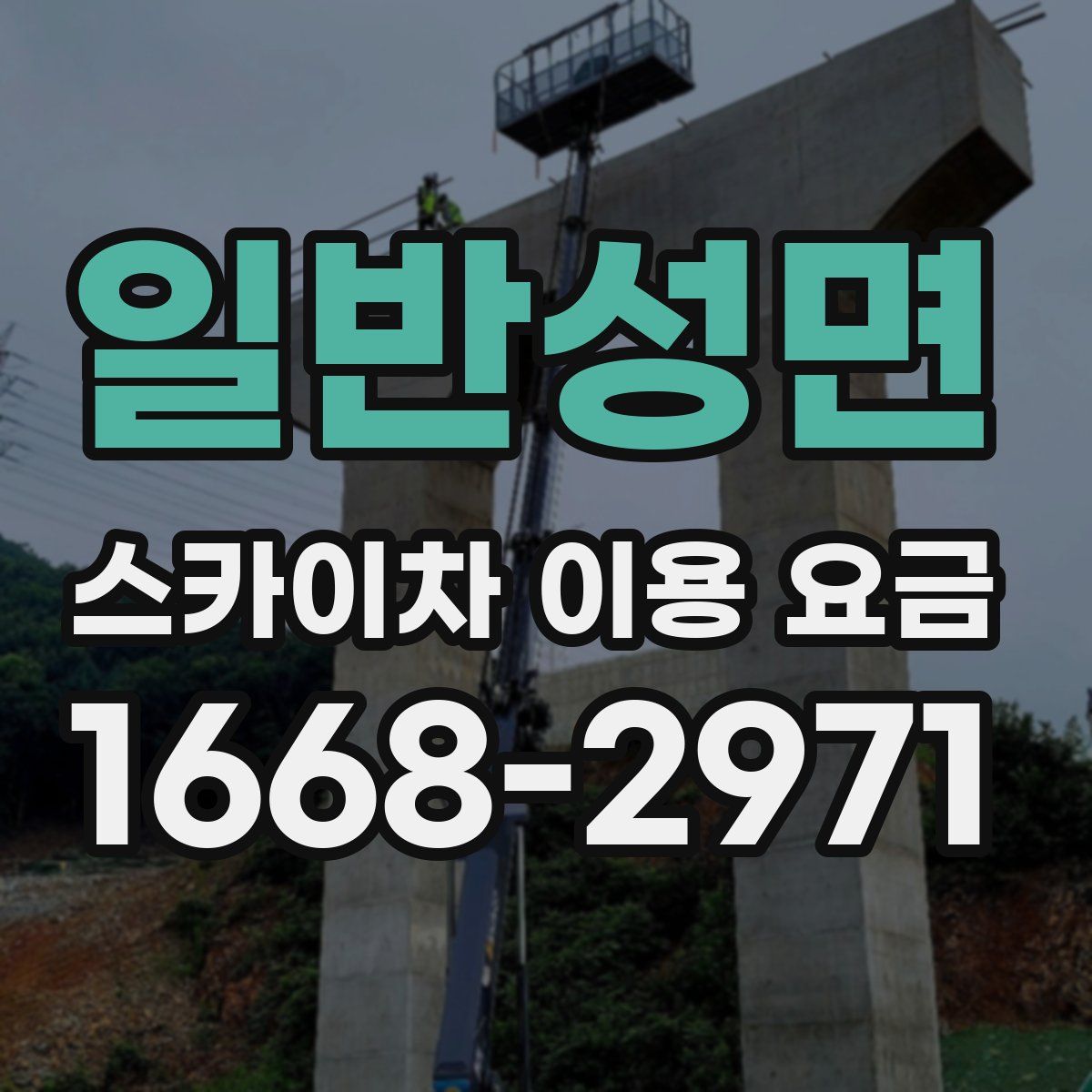 일반성면 스카이차 이용 요금