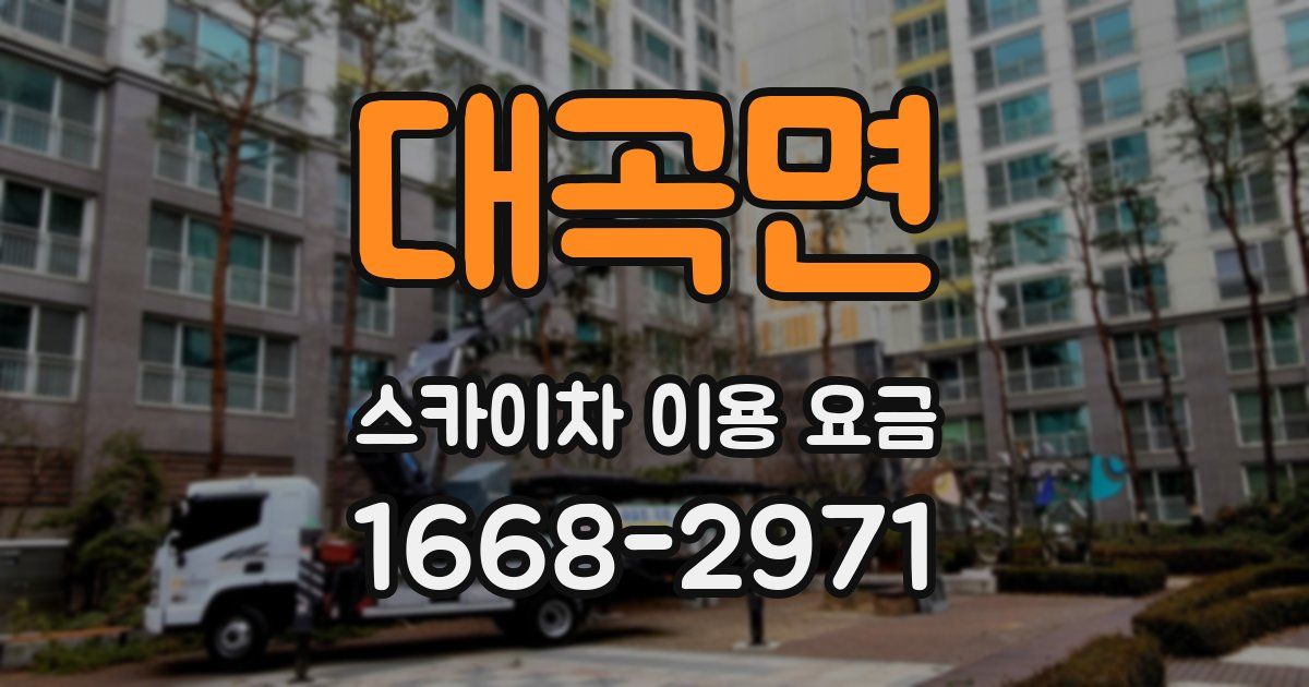 대곡면 스카이차 이용 요금