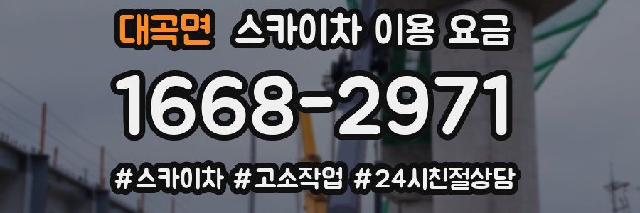대곡면 스카이차 이용 요금