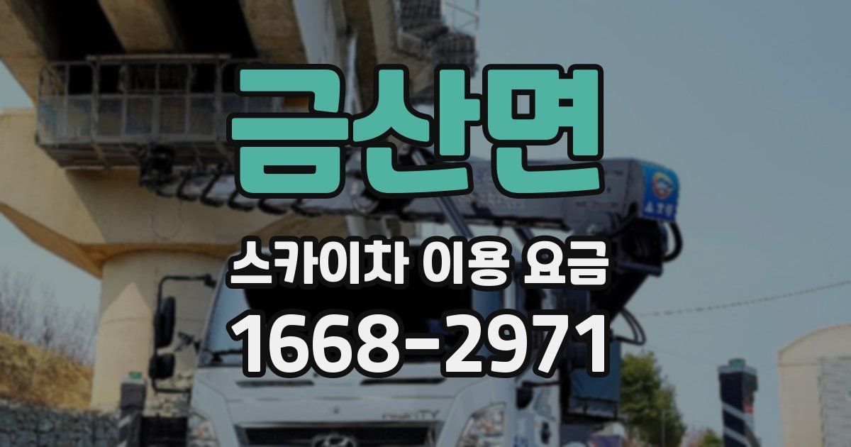 금산면 스카이차 이용 요금