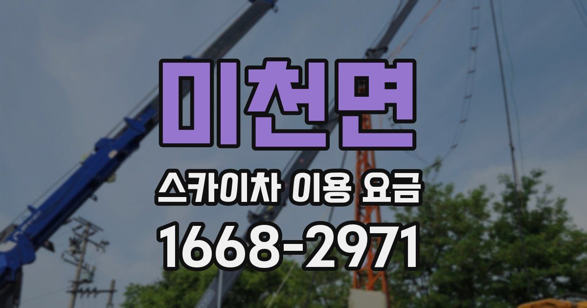 미천면 스카이차 이용 요금