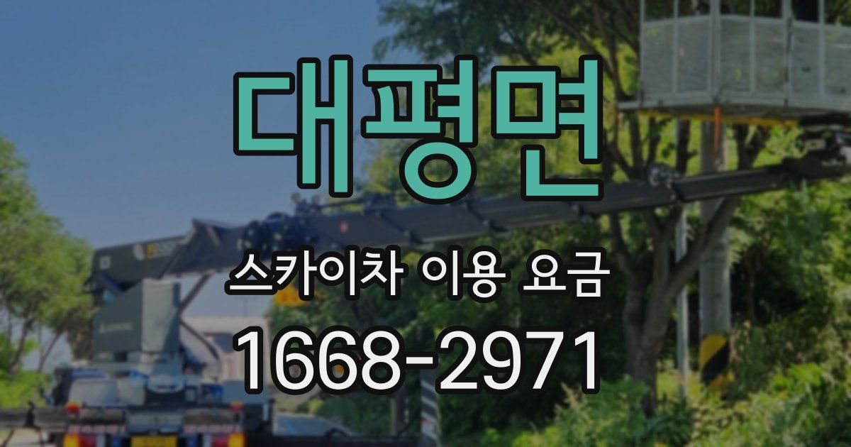 대평면 스카이차 이용 요금
