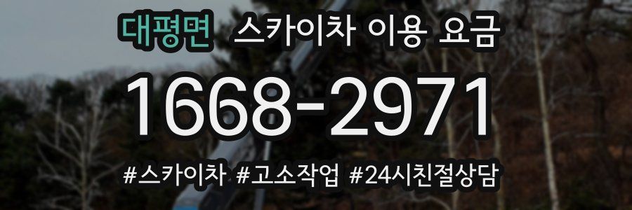 대평면 스카이차 이용 요금