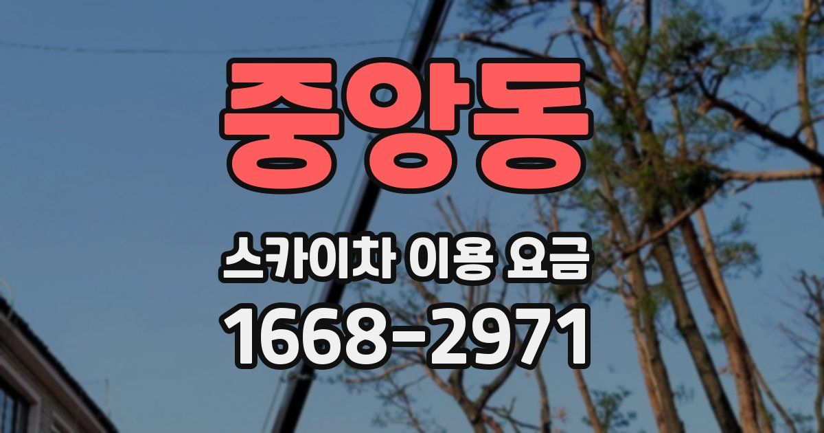 중앙동 스카이차 이용 요금