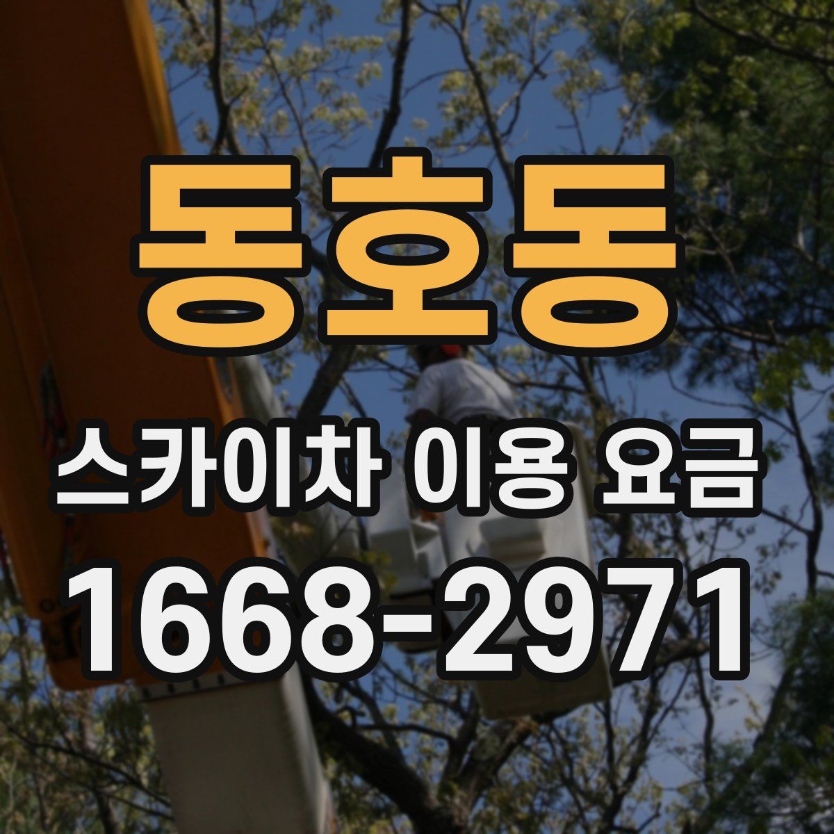 동호동 스카이차 이용 요금