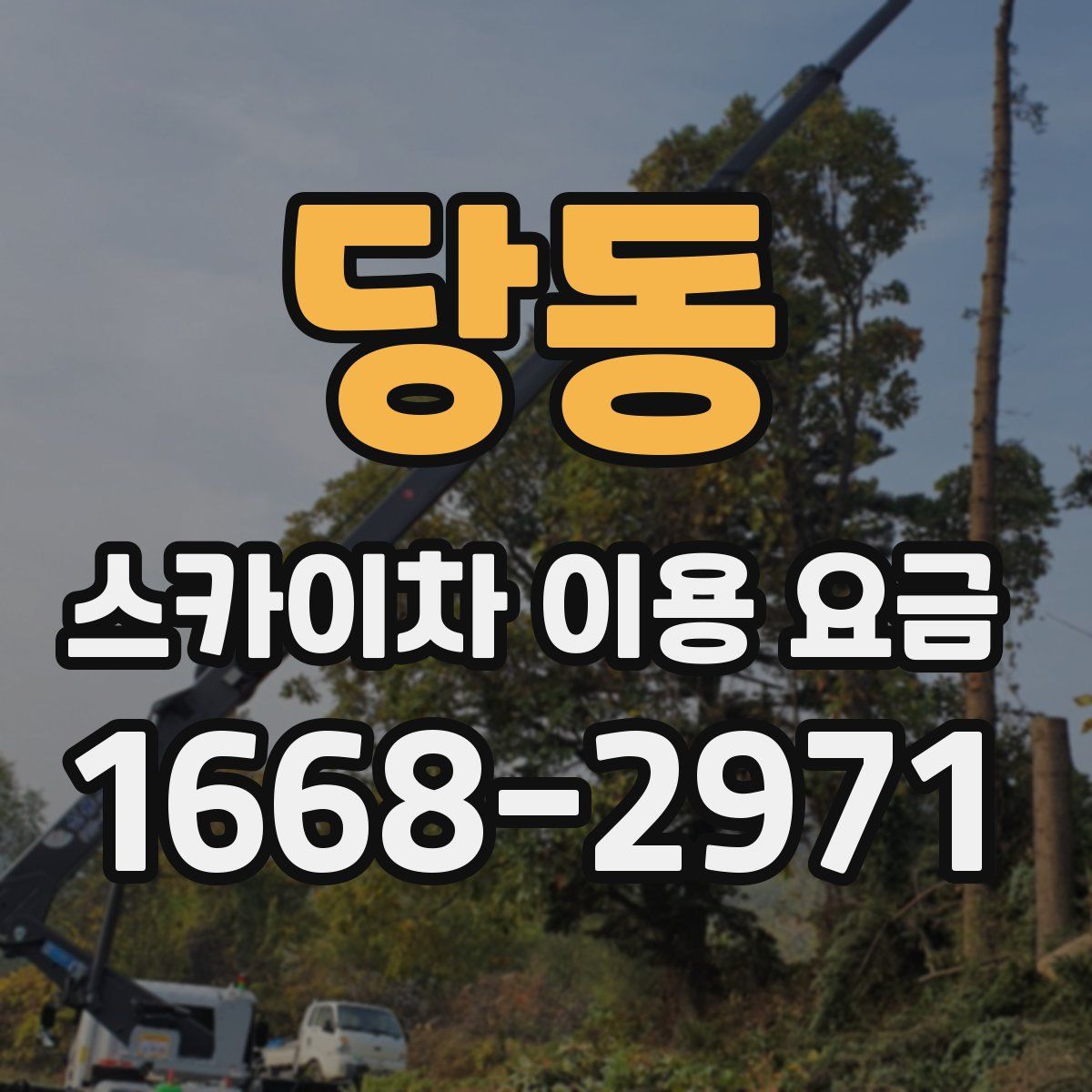 당동 스카이차 이용 요금