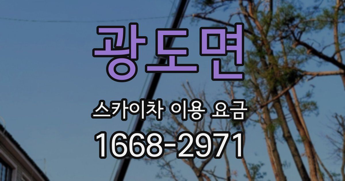 광도면 스카이차 이용 요금