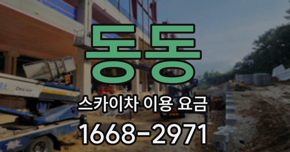 동동 스카이차 이용 요금