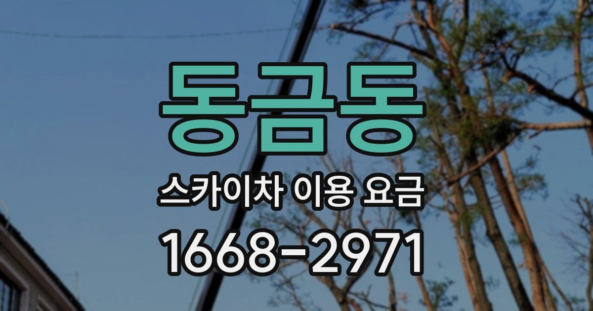 동금동 스카이차 이용 요금