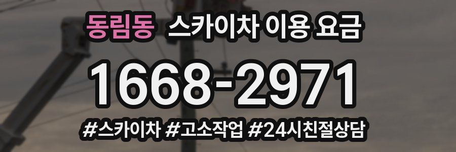 동림동 스카이차 이용 요금