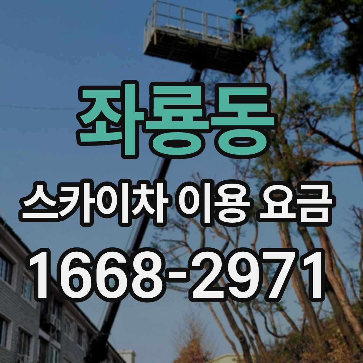 좌룡동 스카이차 이용 요금
