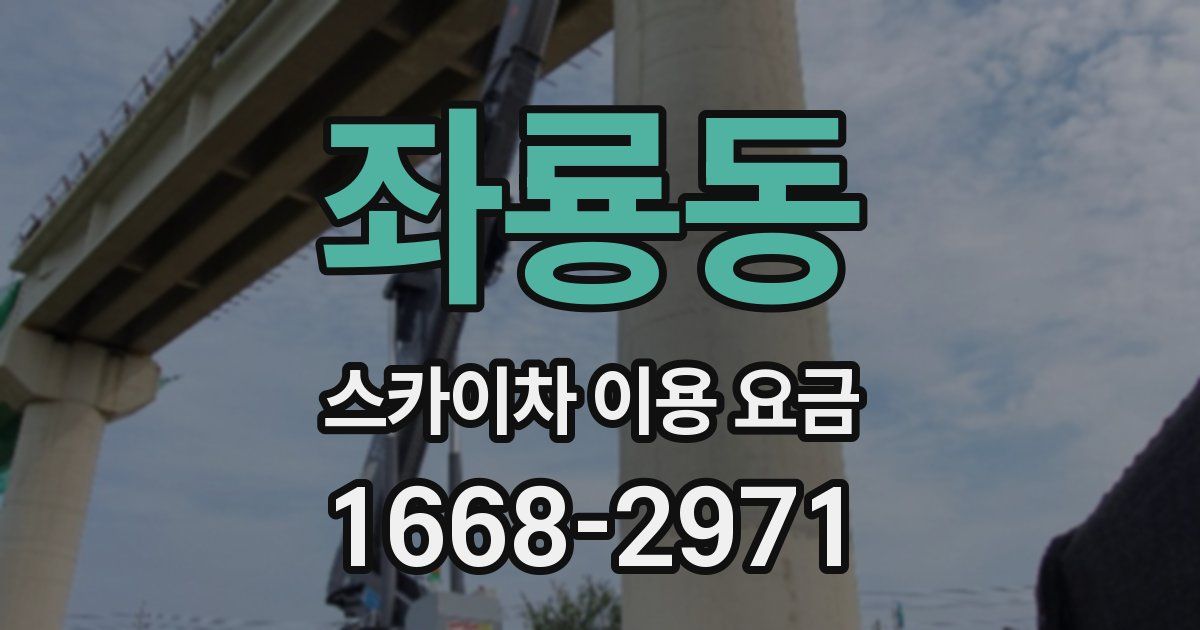 좌룡동 스카이차 이용 요금