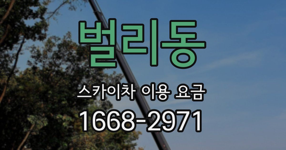 벌리동 스카이차 이용 요금