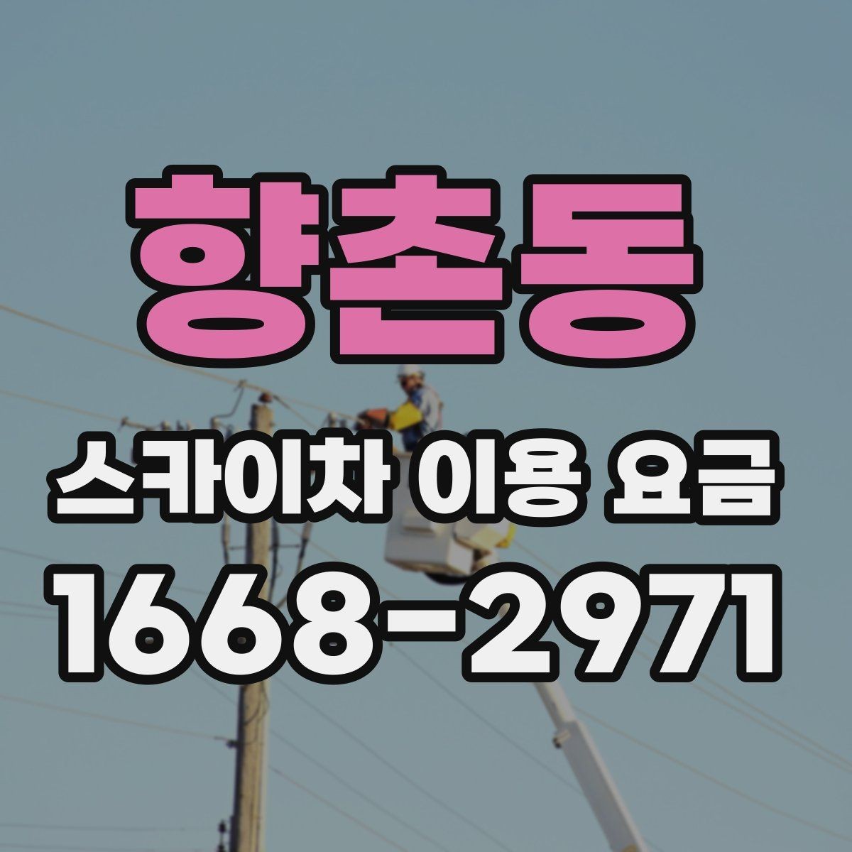 향촌동 스카이차 이용 요금 알아볼 때 업체마다 다른 점