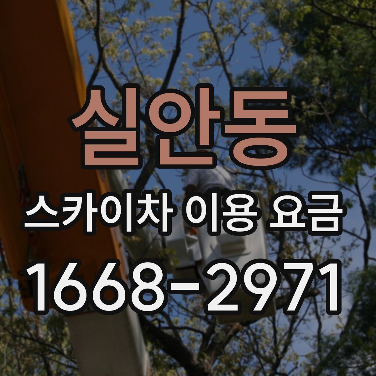 실안동 스카이차 이용 요금