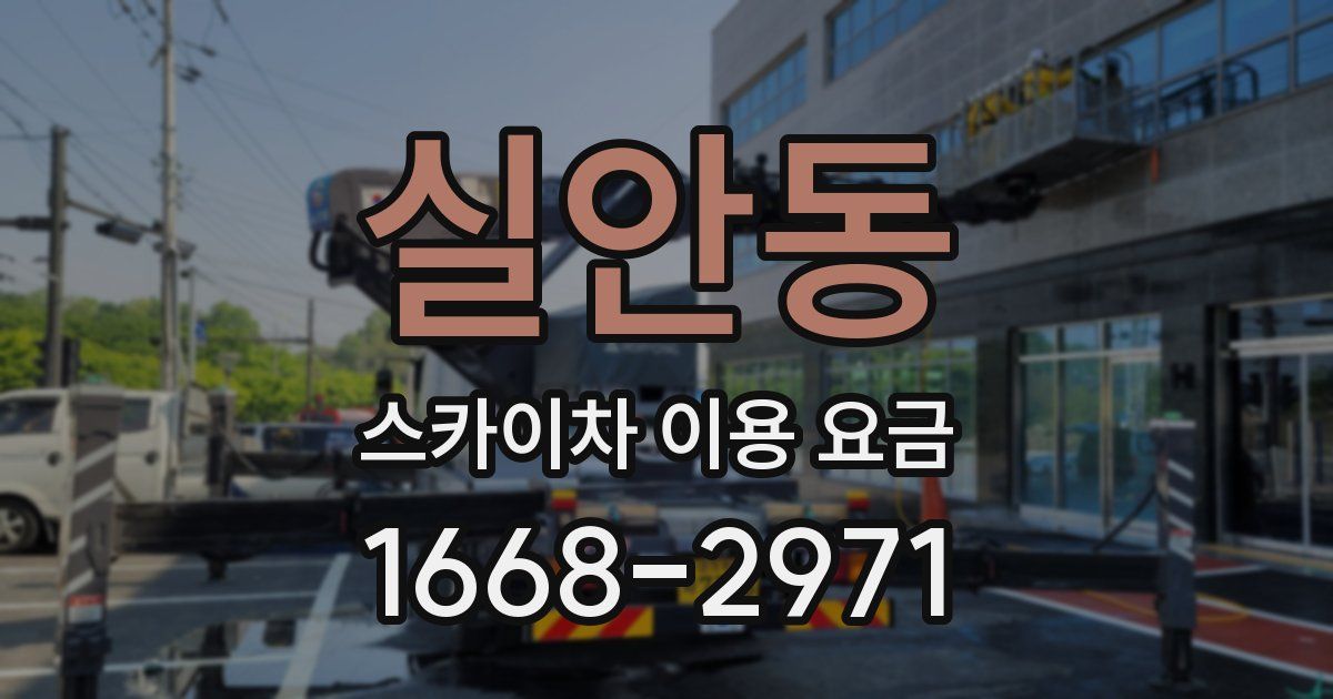 실안동 스카이차 이용 요금