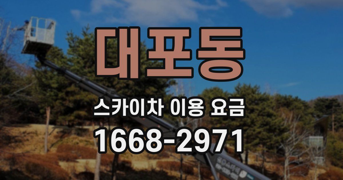 대포동 스카이차 이용 요금