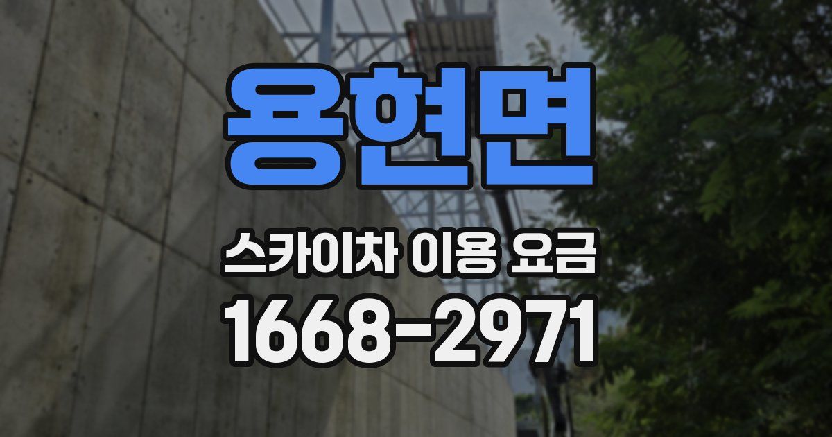 용현면 스카이차 이용 요금