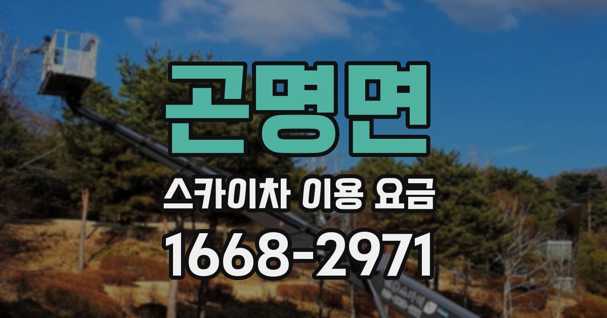 곤명면 스카이차 이용 요금