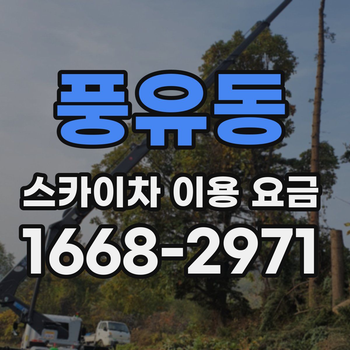 풍유동 스카이차 이용 요금