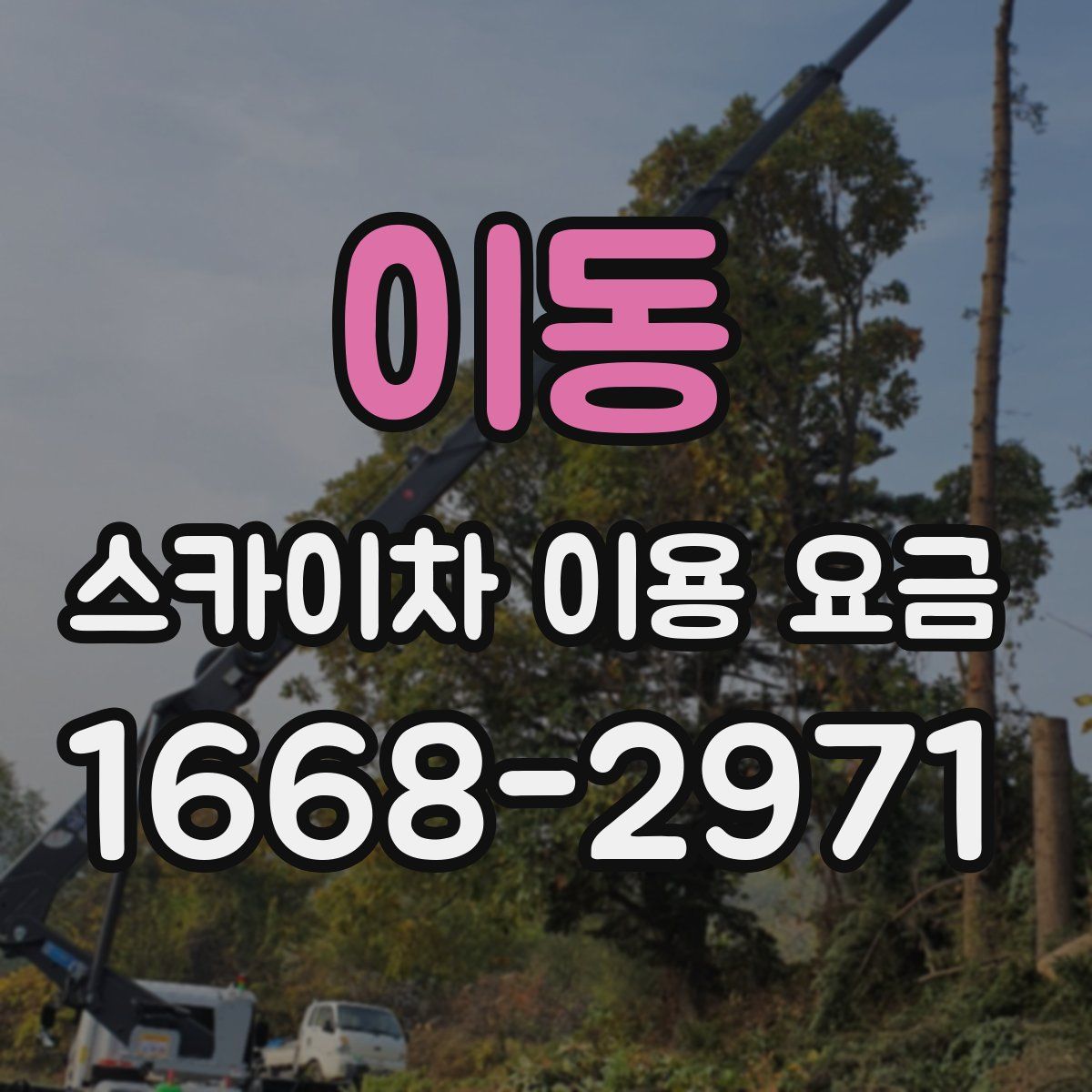 이동 스카이차 이용 요금