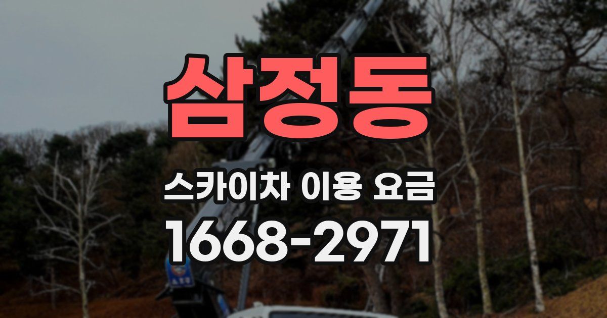 삼정동 스카이차 이용 요금