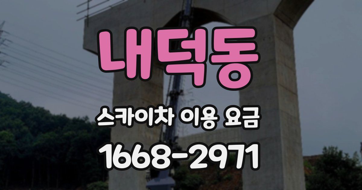 내덕동 스카이차 이용 요금