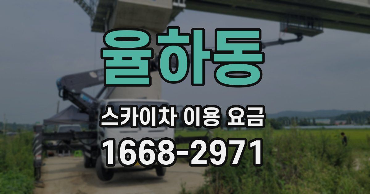 율하동 스카이차 이용 요금