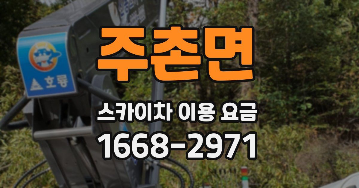주촌면 스카이차 이용 요금