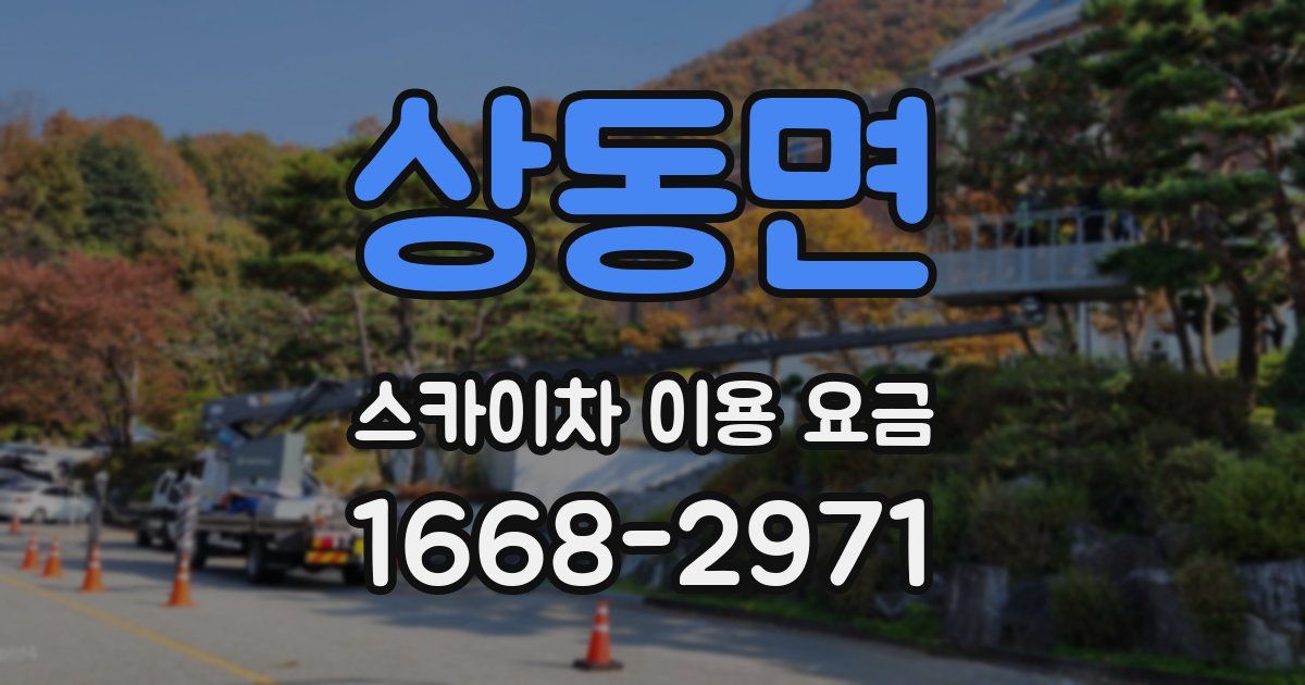 상동면 스카이차 이용 요금