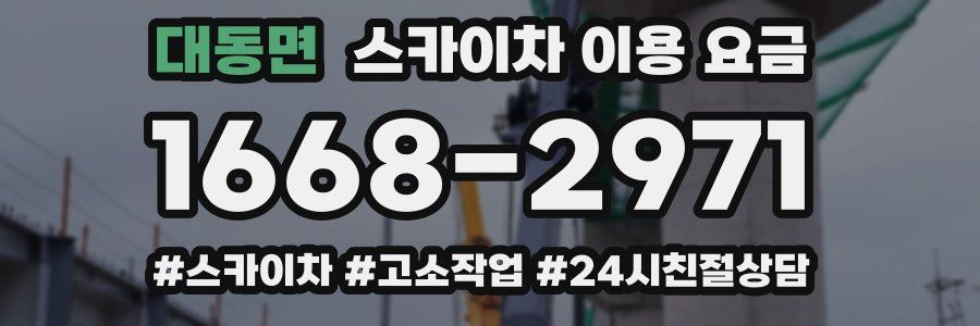 대동면 스카이차 이용 요금