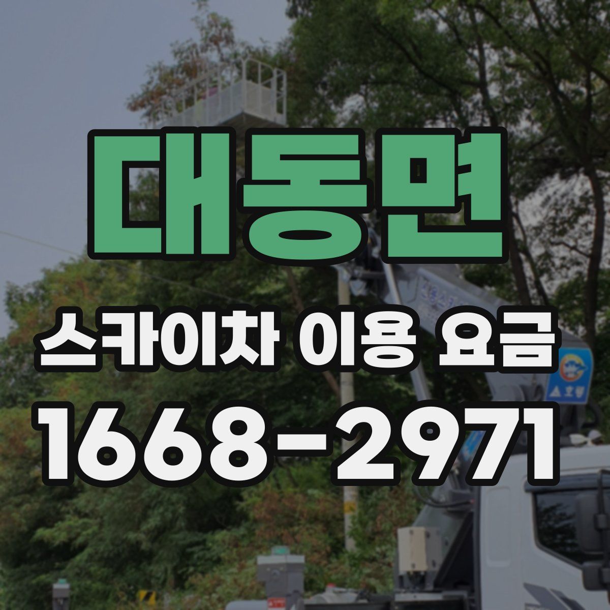 대동면 스카이차 이용 요금
