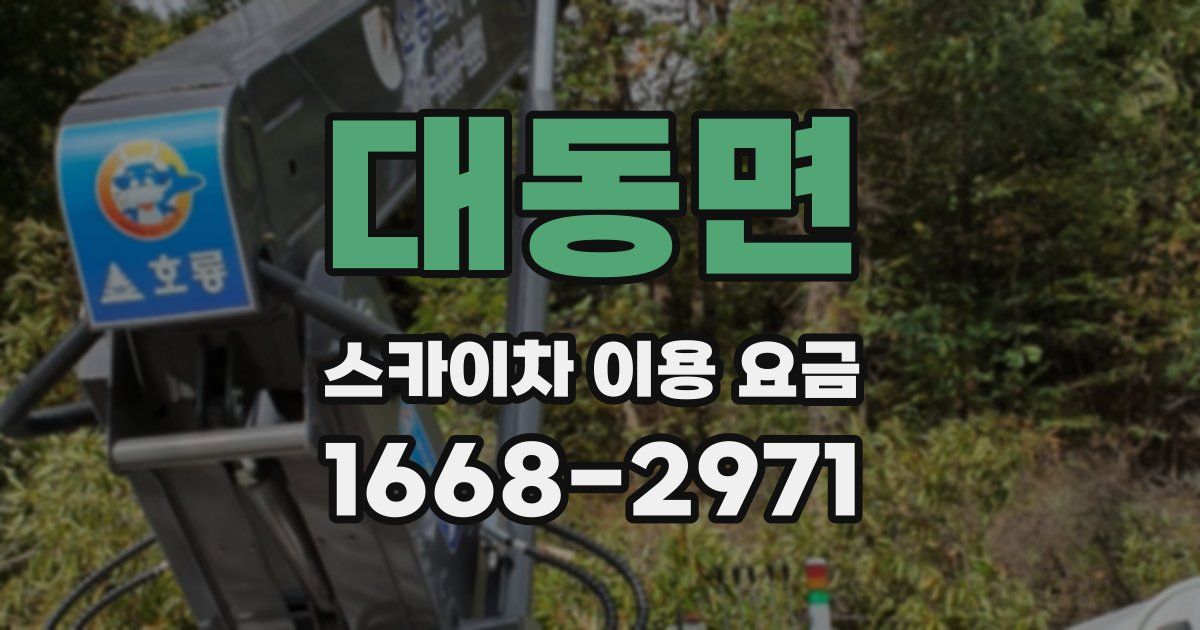 대동면 스카이차 이용 요금