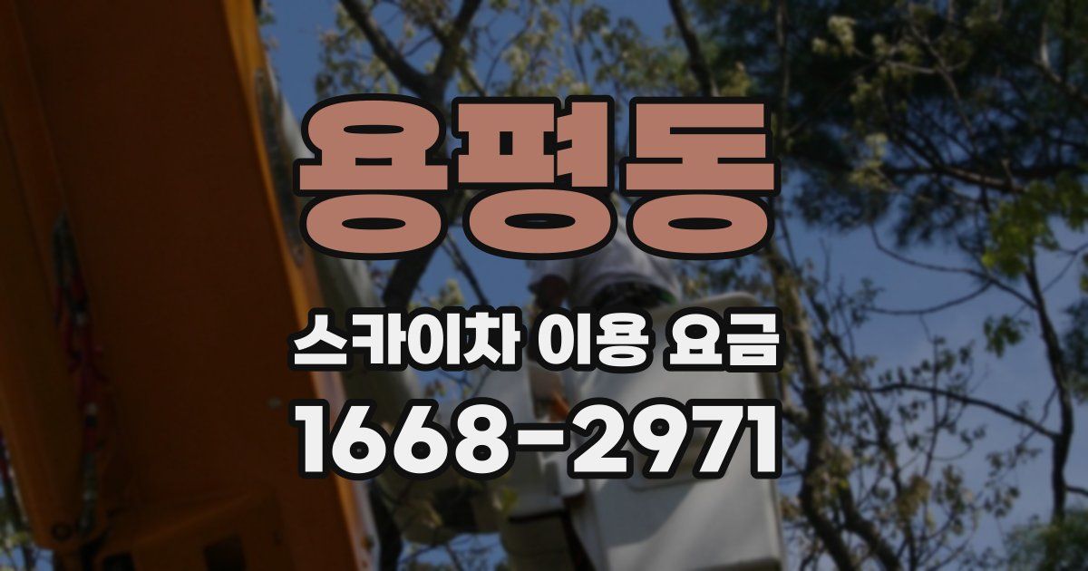 용평동 스카이차 이용 요금