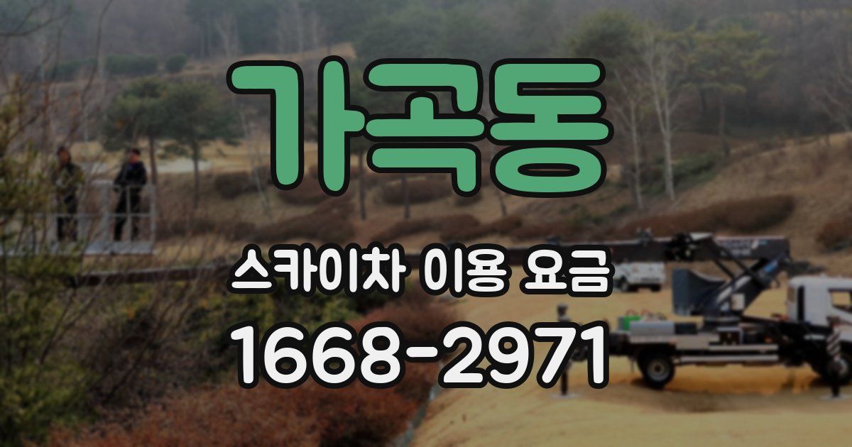 가곡동 스카이차 이용 요금