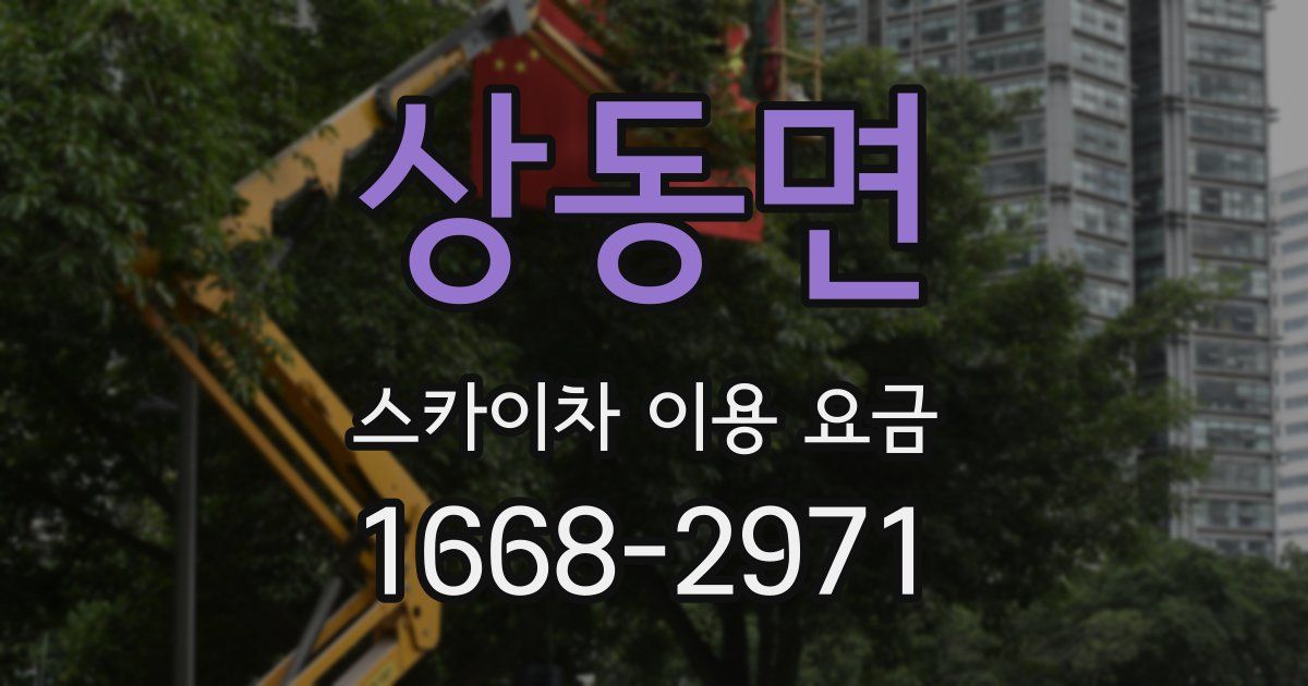 상동면 스카이차 이용 요금