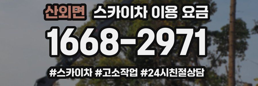 산외면 스카이차 이용 요금