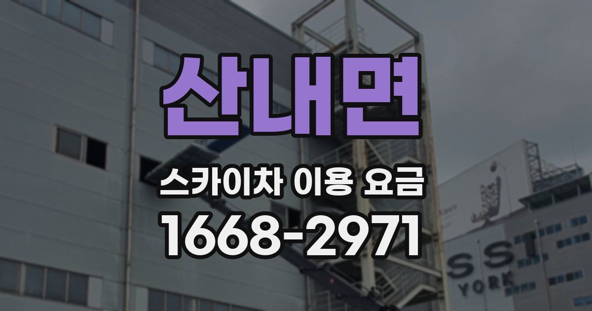 산내면 스카이차 이용 요금