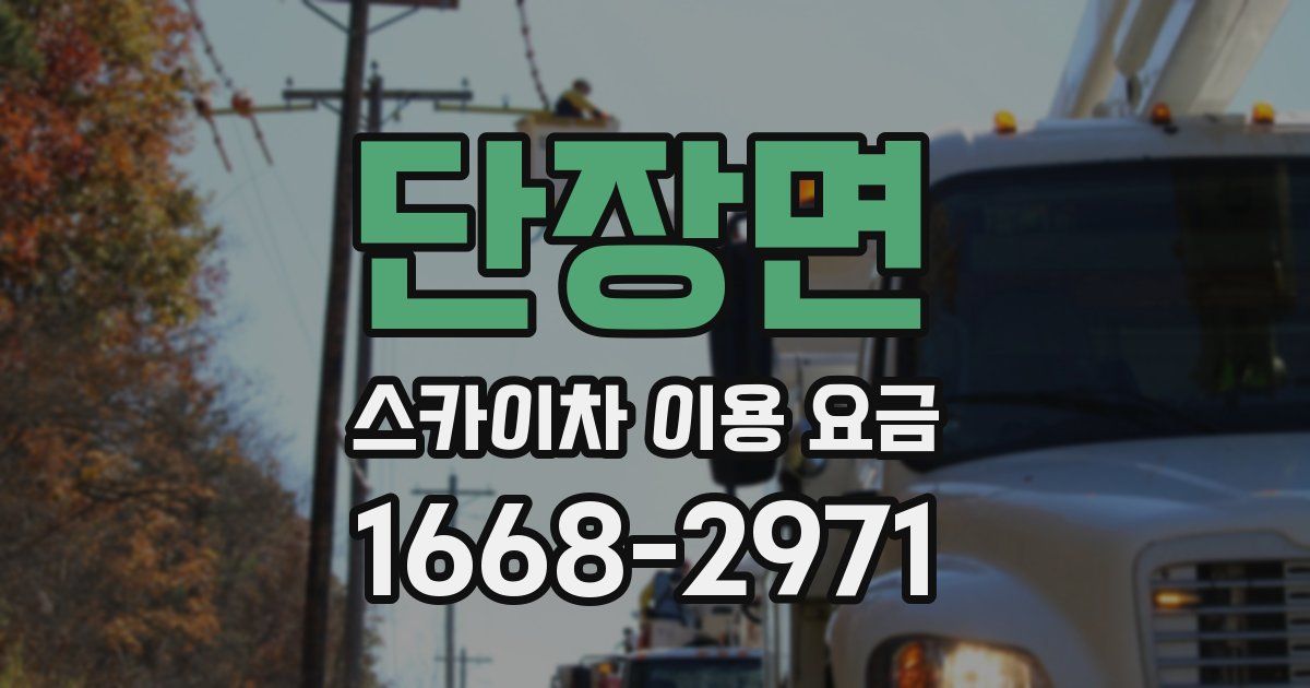 단장면 스카이차 이용 요금
