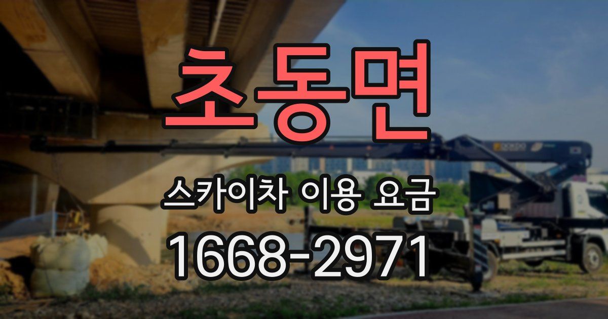 초동면 스카이차 이용 요금